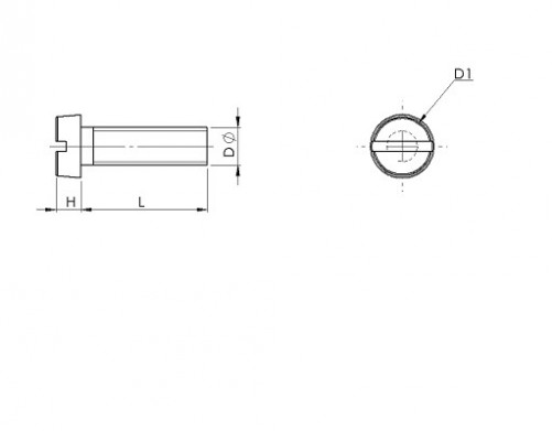 Zylinderkopfschrauben mit Schlitz ISO 1207 M8 X 125 X 20 mm Nylon