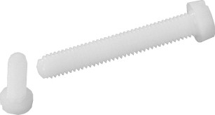Zylinderkopfschrauben mit Schlitz ISO 1207 M8 X 125 X 20 mm Nylon